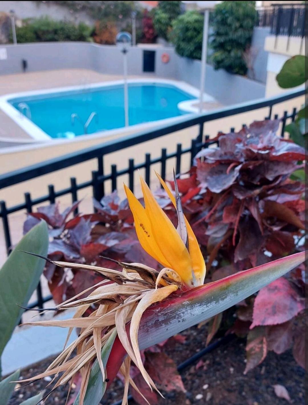 Balcon Atlantida Apartment กันเดลาเรีย ภายนอก รูปภาพ